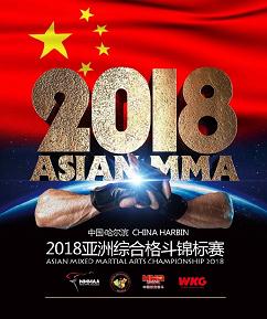 MMA亚洲综合格斗锦标赛