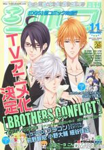 BROTHERS CONFLICT