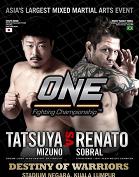 ONE FC 4
