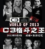 C3格斗之王2013