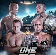 ONE FC 23