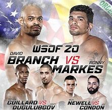 WSOF 20