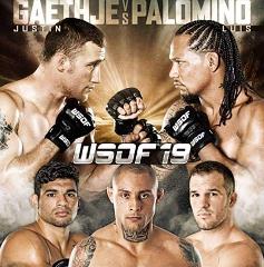 WSOF 19