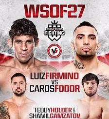 WSOF 27