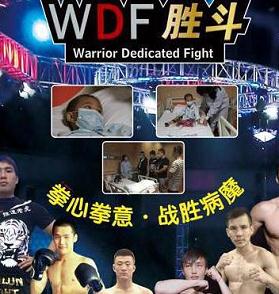 WDF胜斗拳王公益争霸赛