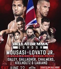 点击收藏Bellator 223