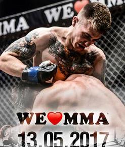 We Love MMA