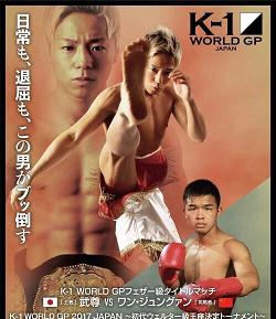 K-1 World GP Japan 67kg  对决