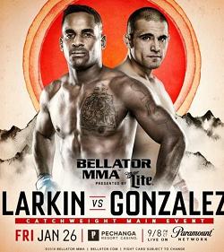 Bellator 193