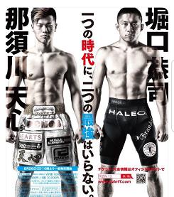 Rizin 13