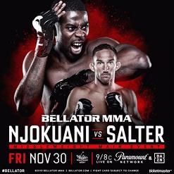 Bellator 210