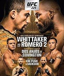 UFC 225