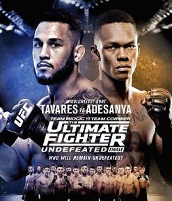 TUF 27：终极斗士决赛