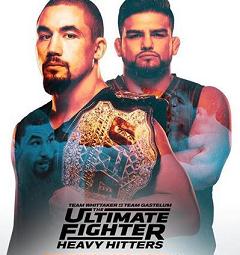 TUF 28：维泰克尔战队 vs. 开尔文战队